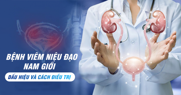 Hình Ảnh Bệnh Viêm Niệu Đạo Ở Nam Giới - Dấu Hiệu Và Cách Điều Trị