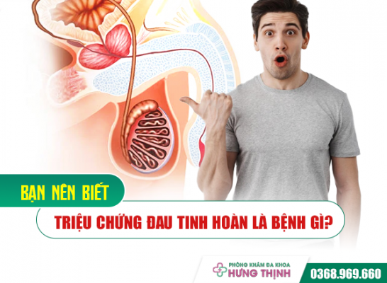 [Bạn Nên Biết] Triệu Chứng Đau Tinh Hoàn Là Bệnh Gì? 