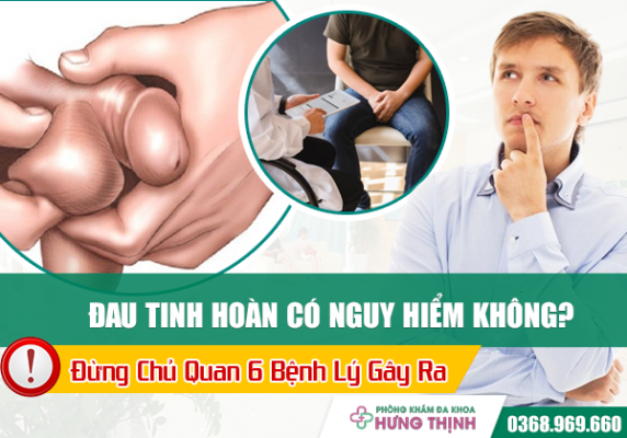 Đau Tinh Hoàn Có Nguy Hiểm Không? Đừng Chủ Quan 6 Bệnh Lý Gây Ra