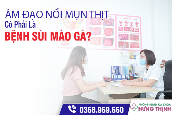 Âm Đạo Nổi Mụn Thịt Có Phải Là Bệnh Sùi Mào Gà?