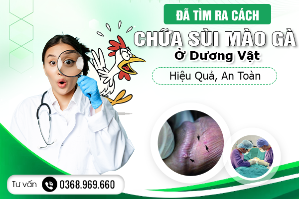 [Tin Vui] Đã Tìm Ra Cách Chữa Sùi Mào Gà Ở Dương Vật Hiệu Quả, An Toàn